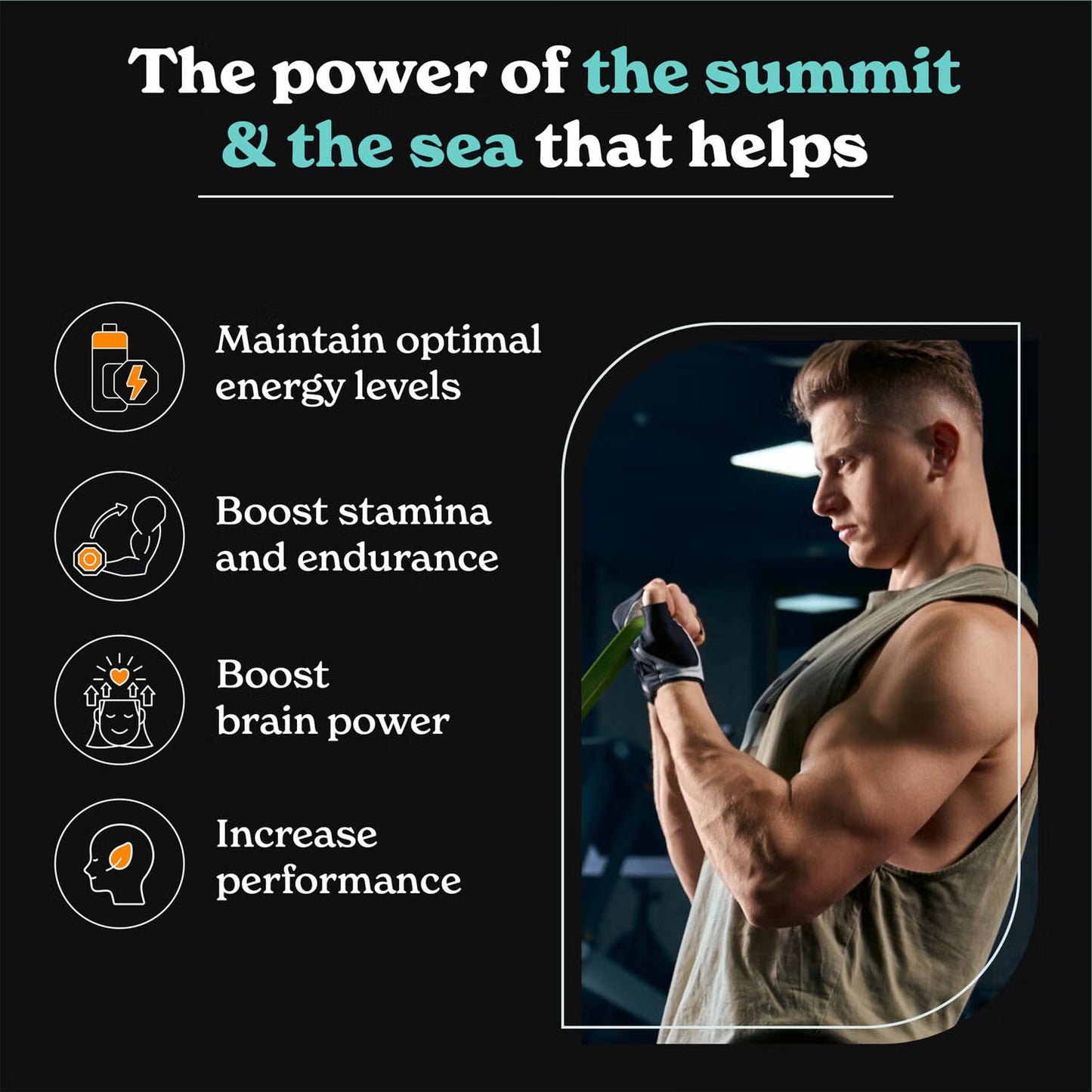 BetterAlt Shilajit Sea Moss