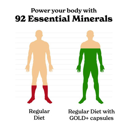 BetterAlt Shilajit Sea Moss