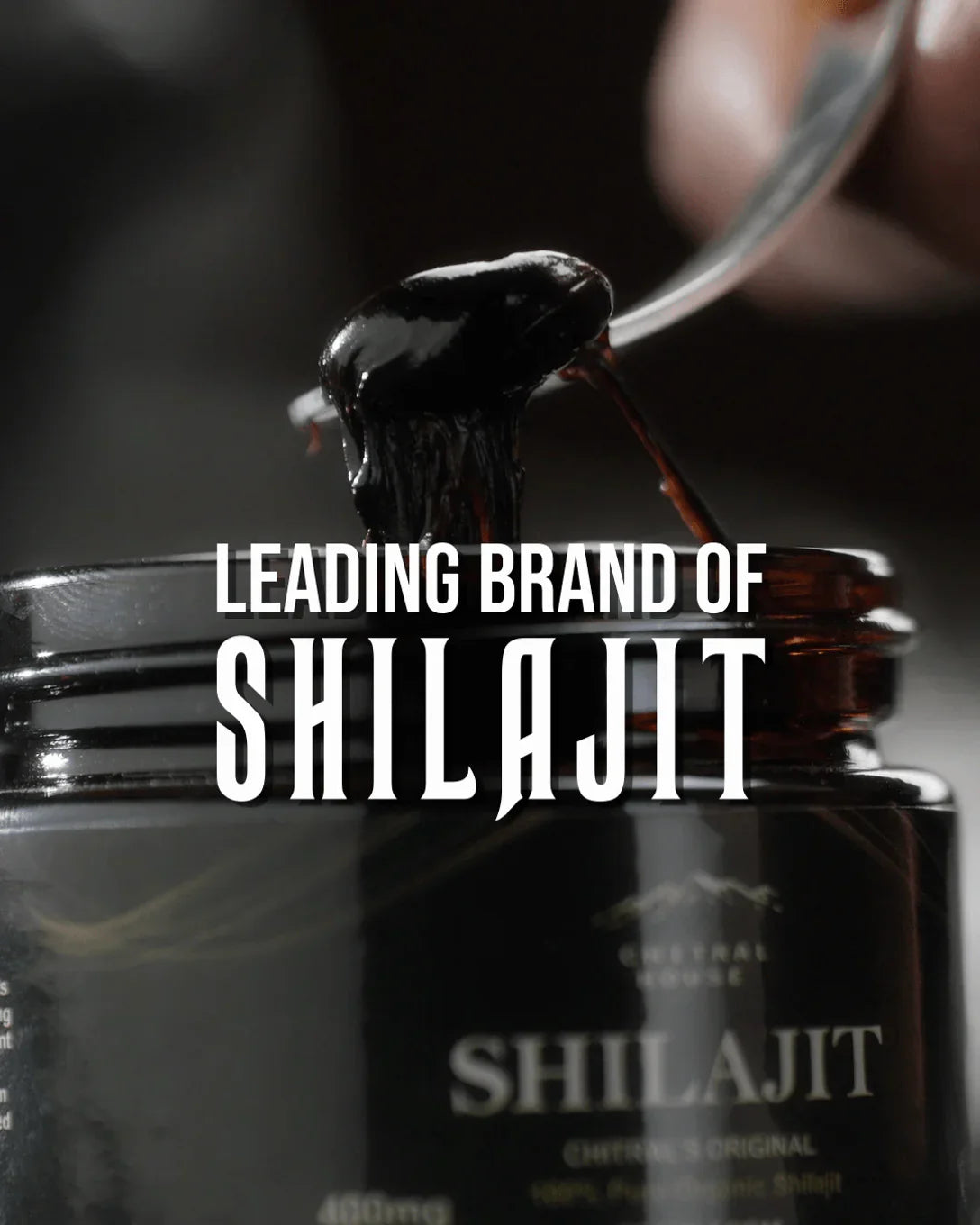 Pure Shilajit Resin 10g