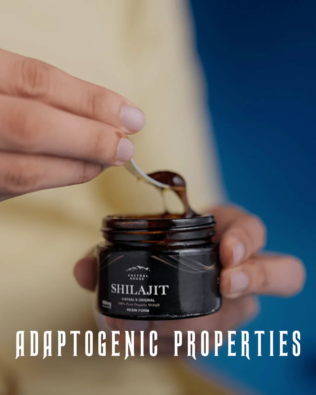 Pure Shilajit Resin 10g